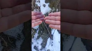 Получил обморожение рук. Что делать?