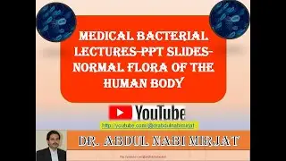 Medical Bacteriology-ppt Lecture Notes-Normal Flora of the Human Body-1