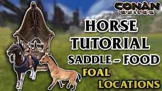 Всё о лошадях &mdash; седло и еда! Все места обитания жеребят &mdash; руководство по Conan Exiles