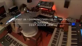 Prophet 08 / Grandmother / SE-02 / Mopho / Ultranova Deep House Jam