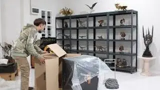 Unbox Infinity Studio Jurassic World Dominion Tyrannosaurus Rex Wall-Mounted Bust