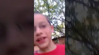 Box Abuse 2