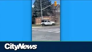 Video captures erratic alleged drunk driver in Brampton
