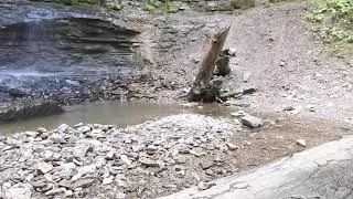 Hillside Hunters 😎 Tiffany Falls Ancaster, Ontario 🔥🏛 Tues, Sept 28, 2021