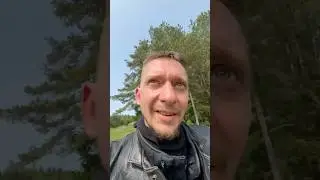 Found abandoned money in the forest!