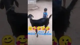Devansh fun video