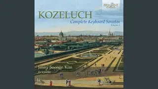 Piano Sonata No. 46 in C Major: II. Allegro Ma Non Tanto