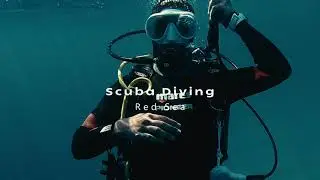   Scuba Diving - Red Sea - Eilat || Cinematic Filmmaking 