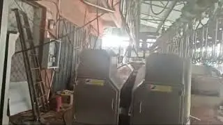 Chicken Processing Line