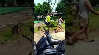 ini baru bineka tinggal Ika 💪