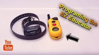 Как запрограммировать электронный ошейник EZ-900 для педагогов