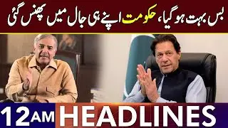 Bad News For PML-N Govt | Headlines 12 AM | 11 Jan 2025 | Lahore Rang | J201P