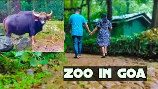 Goa zoo l goa zoo park l Zoo in goa l Goa wildlife sanctuary l Children park @TeamGhadi