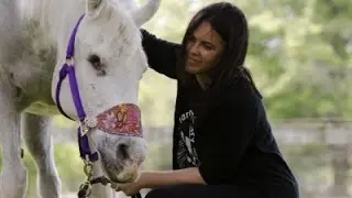 Stewart Adopts Abandoned, Paint-Covered Horse