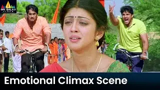 Siddharth & Samrat Cycle Race Scene | Baava | Telugu Movie Scenes | Pranitha | Sri Balaji Video