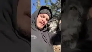 Some jealous wolves that don&rsquo;t want to share