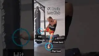 4 Types of Low Kicks