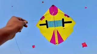 Kite Looting | Kite Looting Ki Video | Kite Catching | Kite