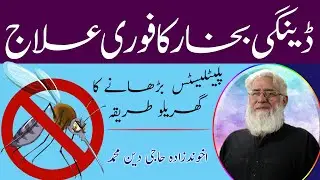 Dengue fever se bachne ke liye effective natural remedies | akhundzada Haji Deen Muhammad
