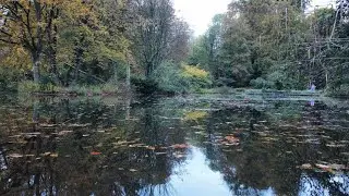 🍂🏰 Exploring the Autumn Beauty of Schlosspark Essen Borbeck with DJI Mini 2! 🚁