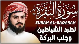 سورة البقرة كاملة للقارئ رعد الكردي | full surah Al Baqara ـ Raad Alkurdi