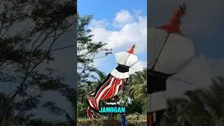 Detik Detik Layangan Janggan Sobek #layanganbali