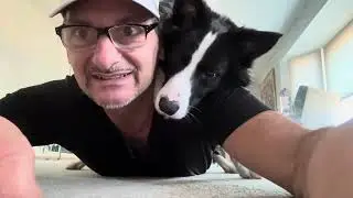 Dog training, word orientation, Wait, Gentle & Free while on my back