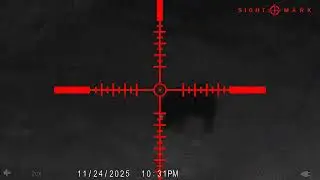 Sightmark Wraith 4k South Texas Hog 200 yards