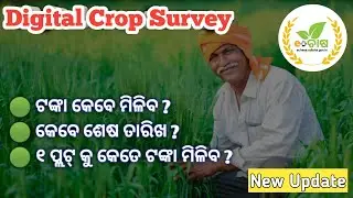 🟢 E-ChasaTanka Kebe miliba // Odisha Digital Crop Survey // babu li dance lover