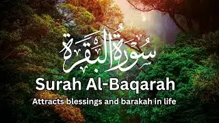 Surah Al-Baqarah &ndash; Brings Peace, Barakah & Divine Protection | Full Recitation ] Aqsa Lateef