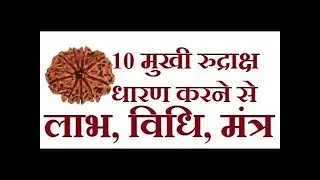 10 Mukhi Rudraksha  - दस मुखी रुद्राक्ष  Day 50