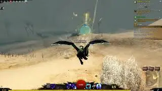 GW2: beginner Kourna beetle race on Griffon 00:41,800