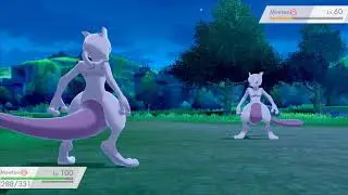 pokemon sword how to catch  mewtwo