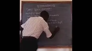 whole numbers 01: value values