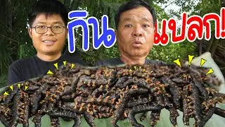 กินได้จริงหรือ !! พ่อหามา 30ปี กว่าจะได้กิน l SAN CE
