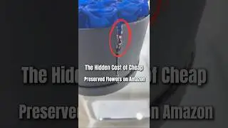 The Hidden Cost of Cheap Preserved Flowers on Amazon