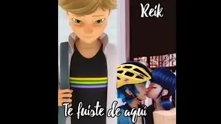 Te fuiste de aquí Reik Miraculous Ladybug