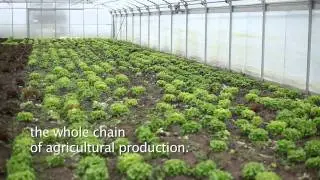 Notes on Sustainable Urban Rural Development