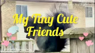 MY HEARTS💕💞 #youtube #myheart #mysweethearts #tinyhearts #sweetvideo #cutevideo #furryfriend #video 
