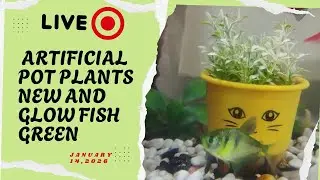 Ideas Ko Tv Live 109 Artificial pot plants new & glow fish green January 14,2026 #live2026  #fishnew