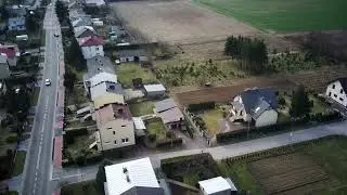 Dron i natrętne ptaki :)