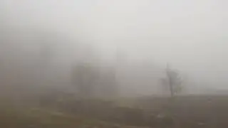 Orographic fog at 1400 m elevation in the Bucegi Mountains - January 2023