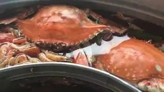 9 I P&Oacute;Ł TYGODNIA W KOREI. VLOG Po polsku Po koreańsku