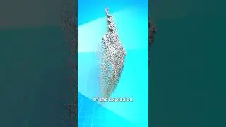 Как работает мина &laquo;Клеймор&raquo; 😨