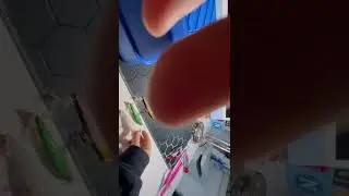  Artificiali per barracuda e  serra