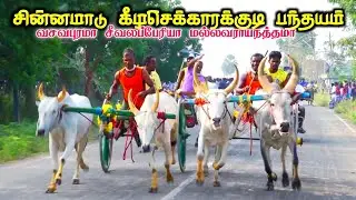 சின்னமாடு கீழசெக்காரக்குடி பந்தயம்