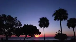 Sanibel Drive - DJI Osmo Pocket