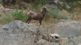 Big Thompson River Canyon in 4k (Ultra HD)