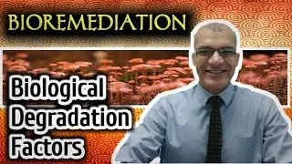 Biological Degradation Factors