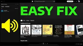 How To Fix No Sound In Spotify in Windows 11